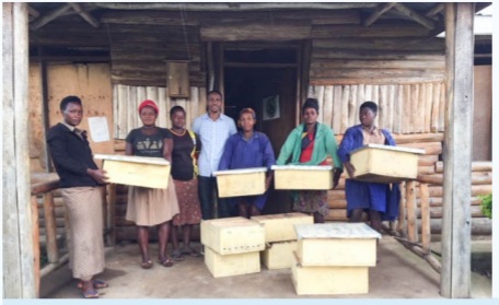 Beekeeping Initiative
