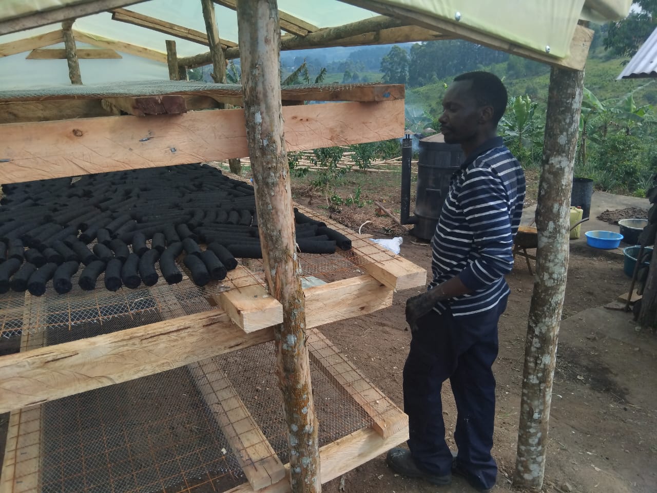 Environmental Conservation