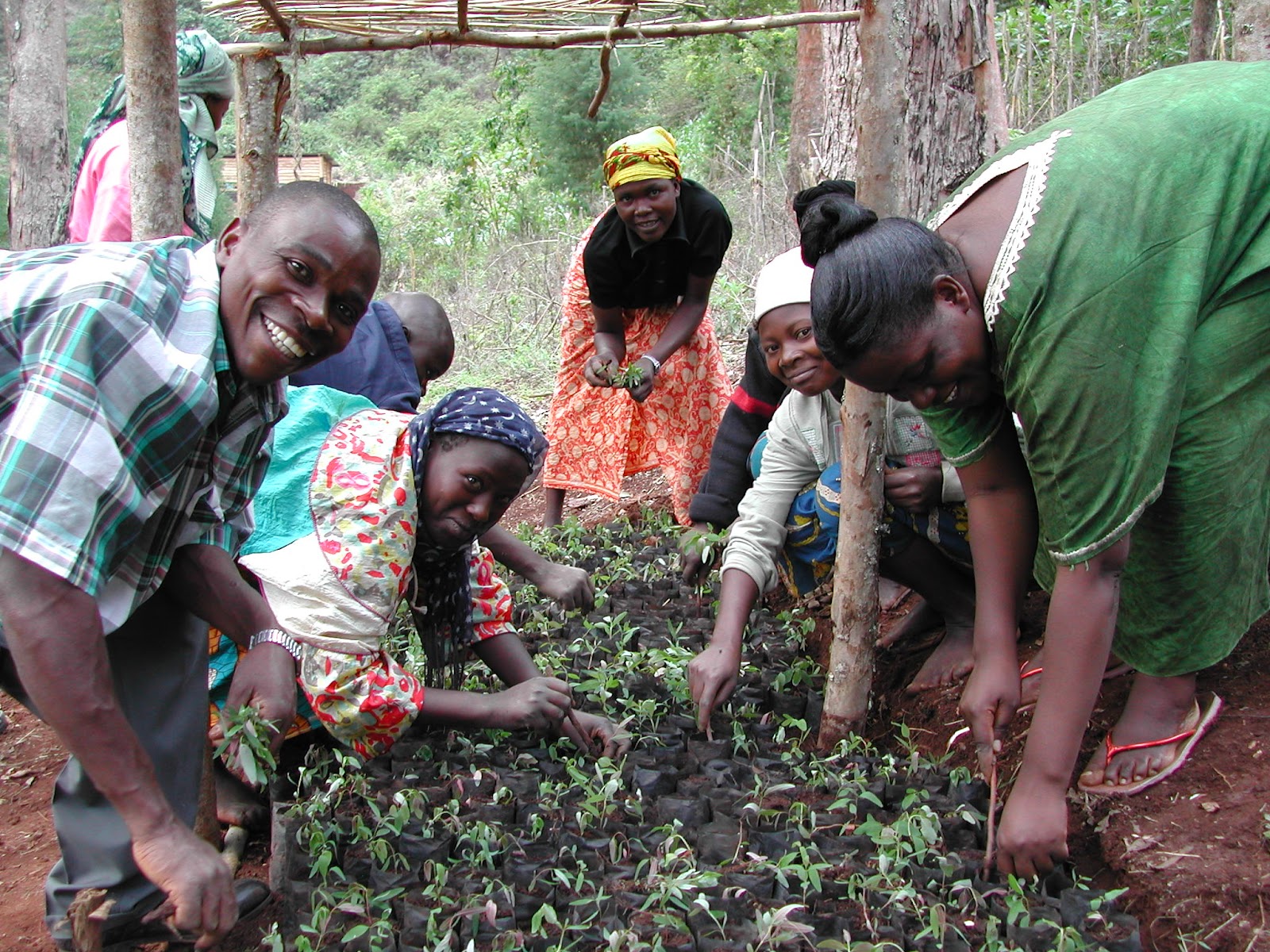 Tree Planting Event